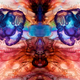 Illustration for article titled Incredible kaleidoscope photographs of Portuguese Man O War Zooids